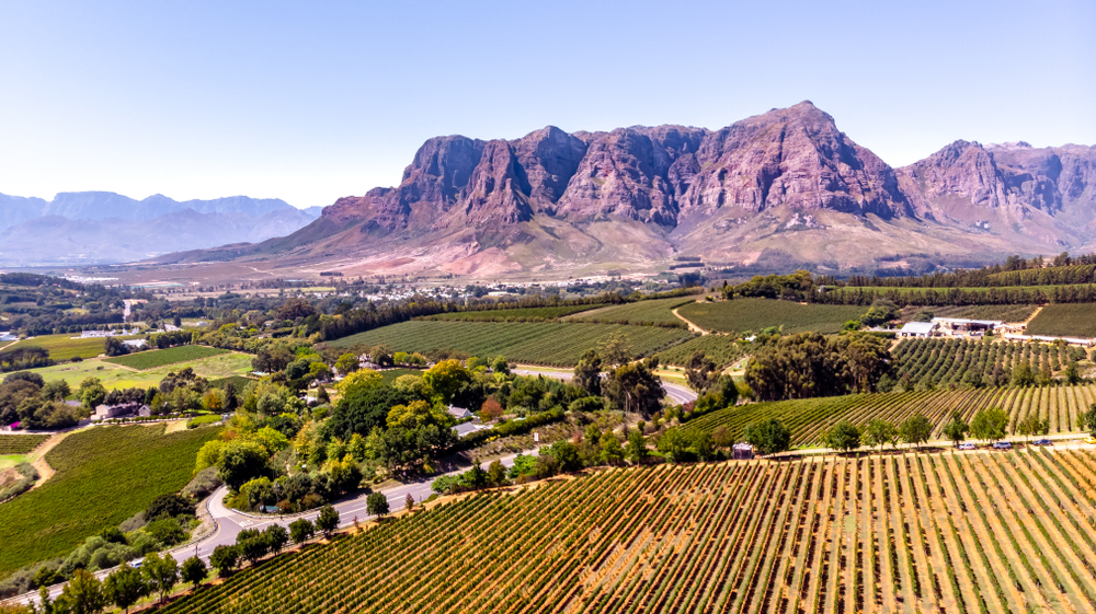 Vineyards and mountains in the Cape Winelands